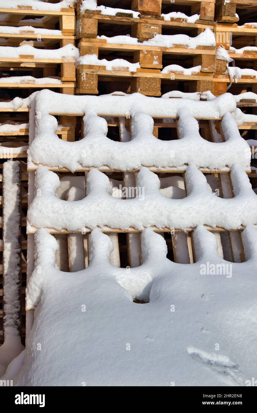 Snow 1