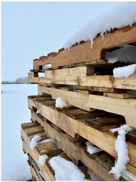 Snow 22