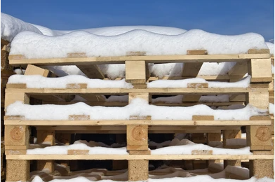 Snow 23