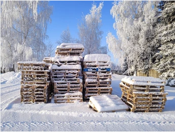 Snow 27