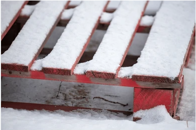 Snow 31